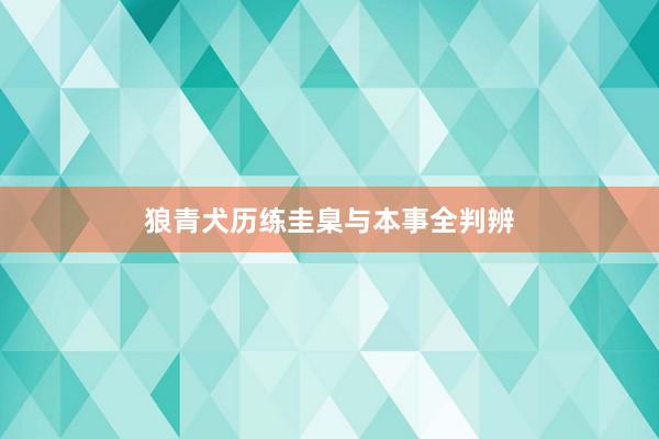 狼青犬历练圭臬与本事全判辨